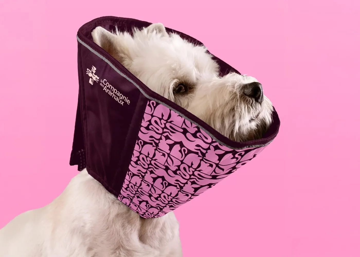 La Compagnie des Animaux