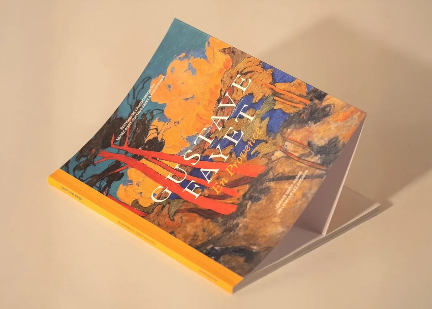 Gustave Fayet en Provence