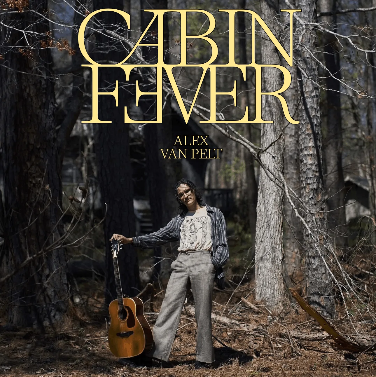 Alex van Pelt – Cabin Fever album art