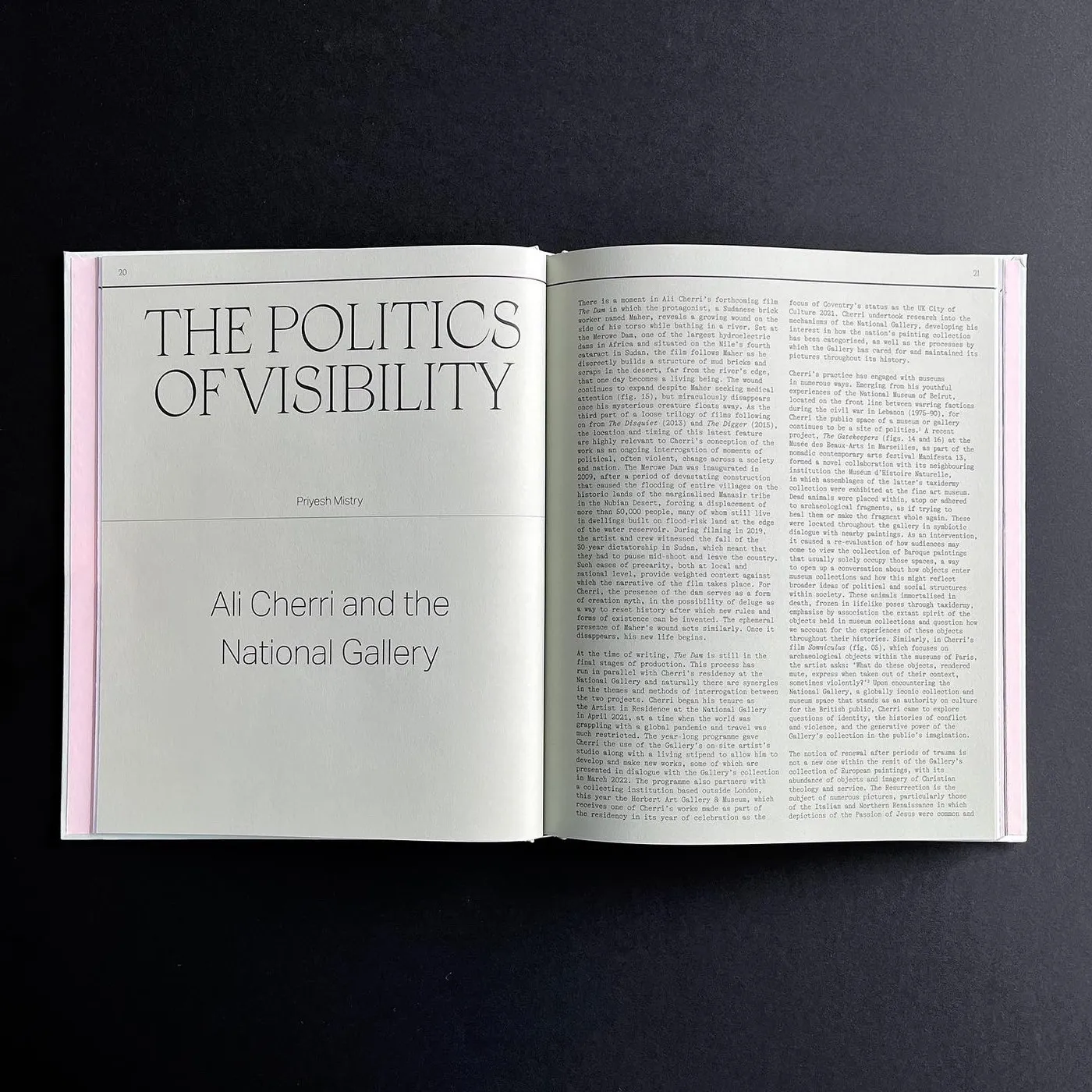 Ali Cherri. 2021 National Gallery Artist in Residence