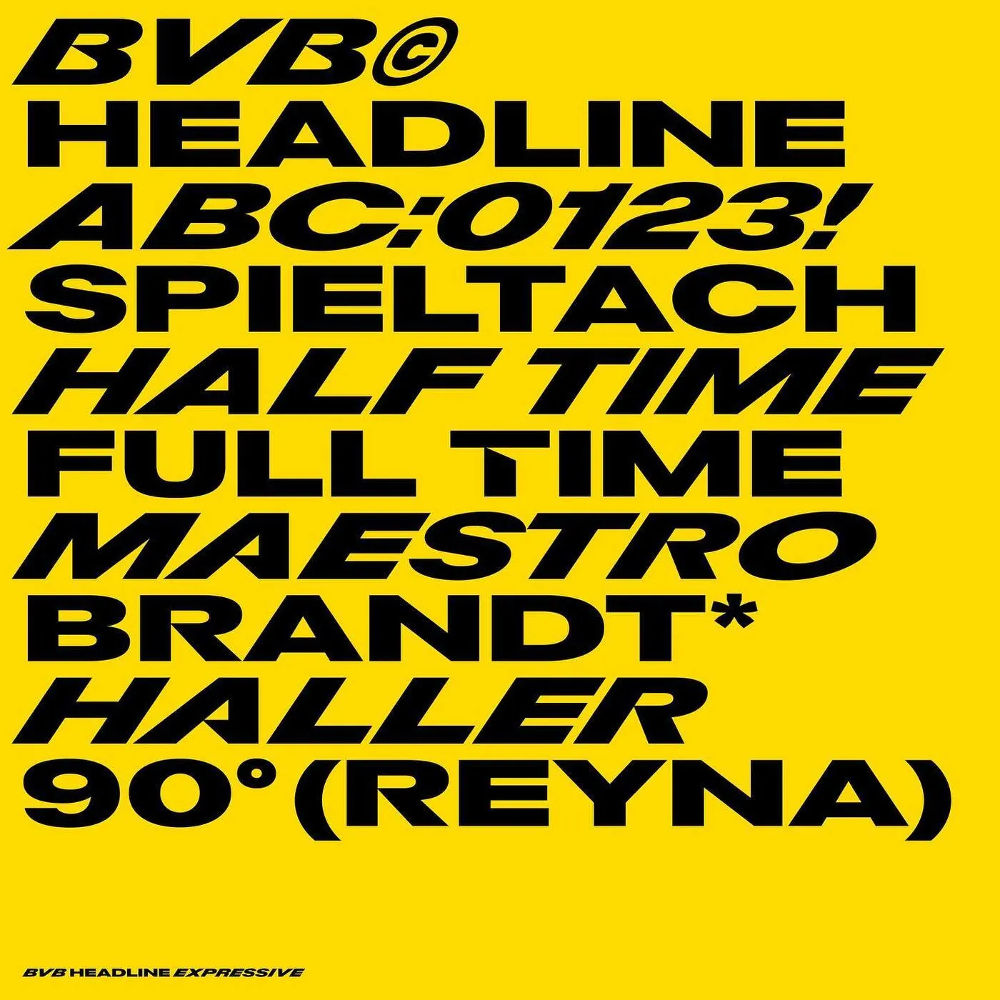 Borussia Dortmund rebranding