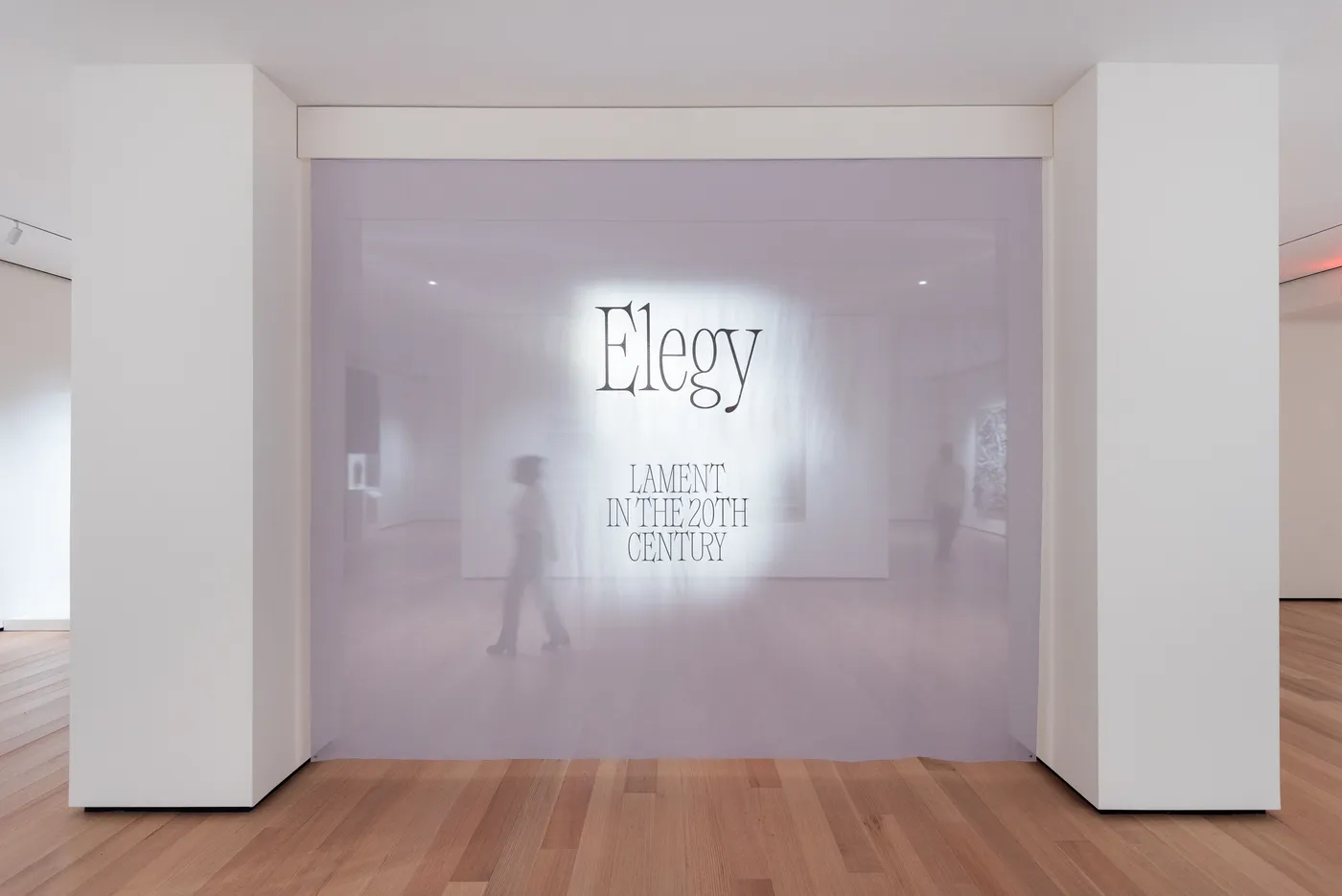 Elegy: Lament in the 20th Century, Philadelphia Museum of Art