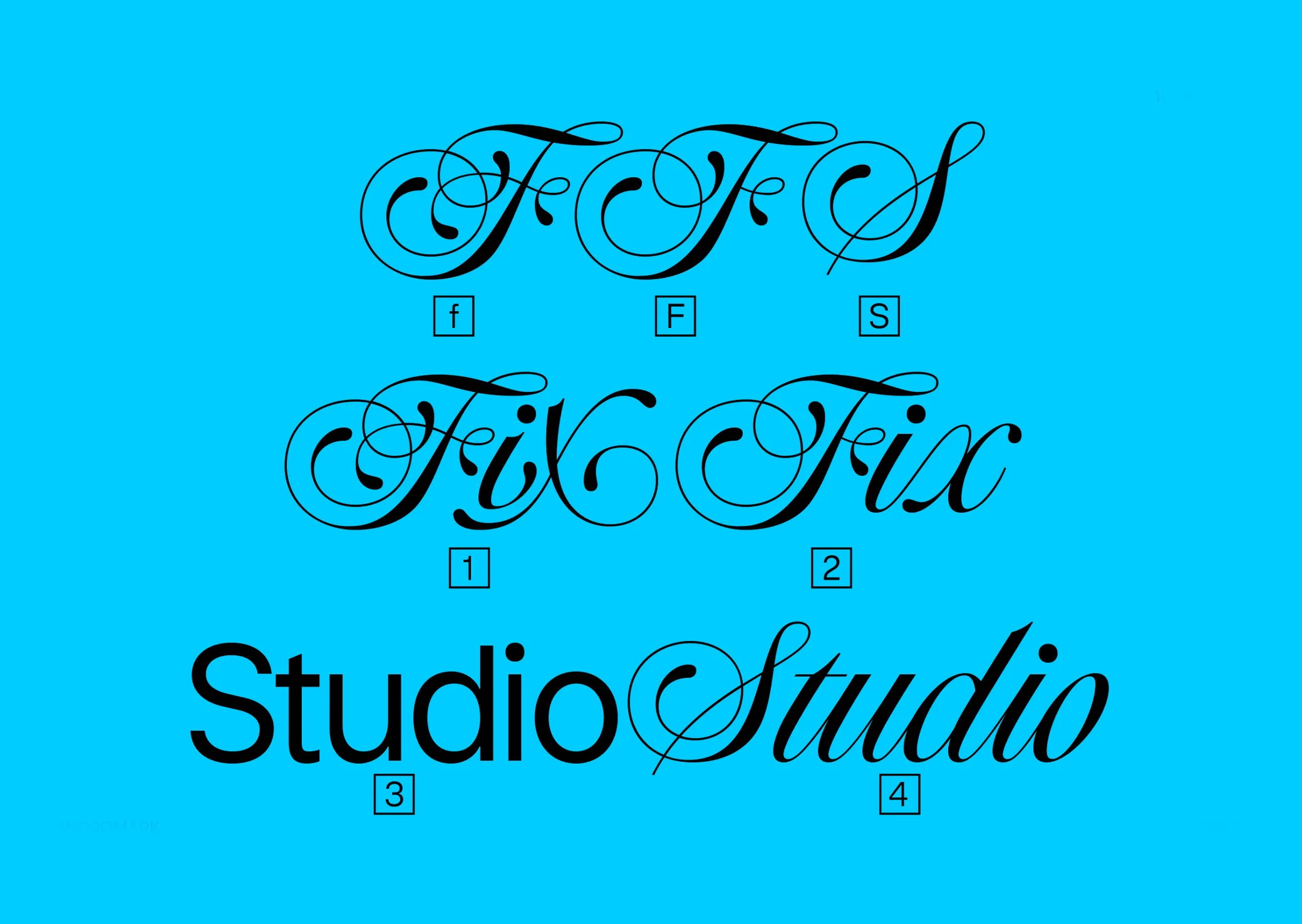 Font Production & Mastering