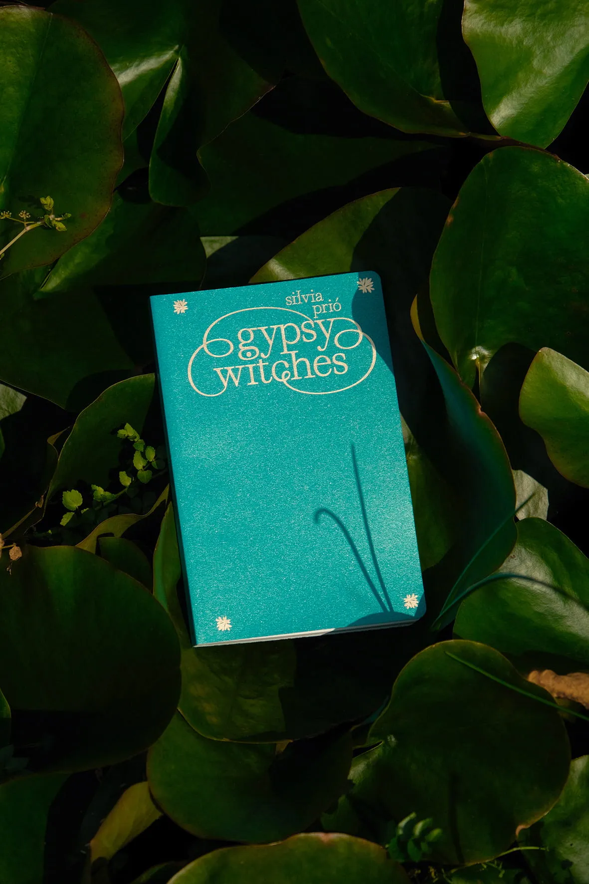 Gypsy Witches by Silvia Prió