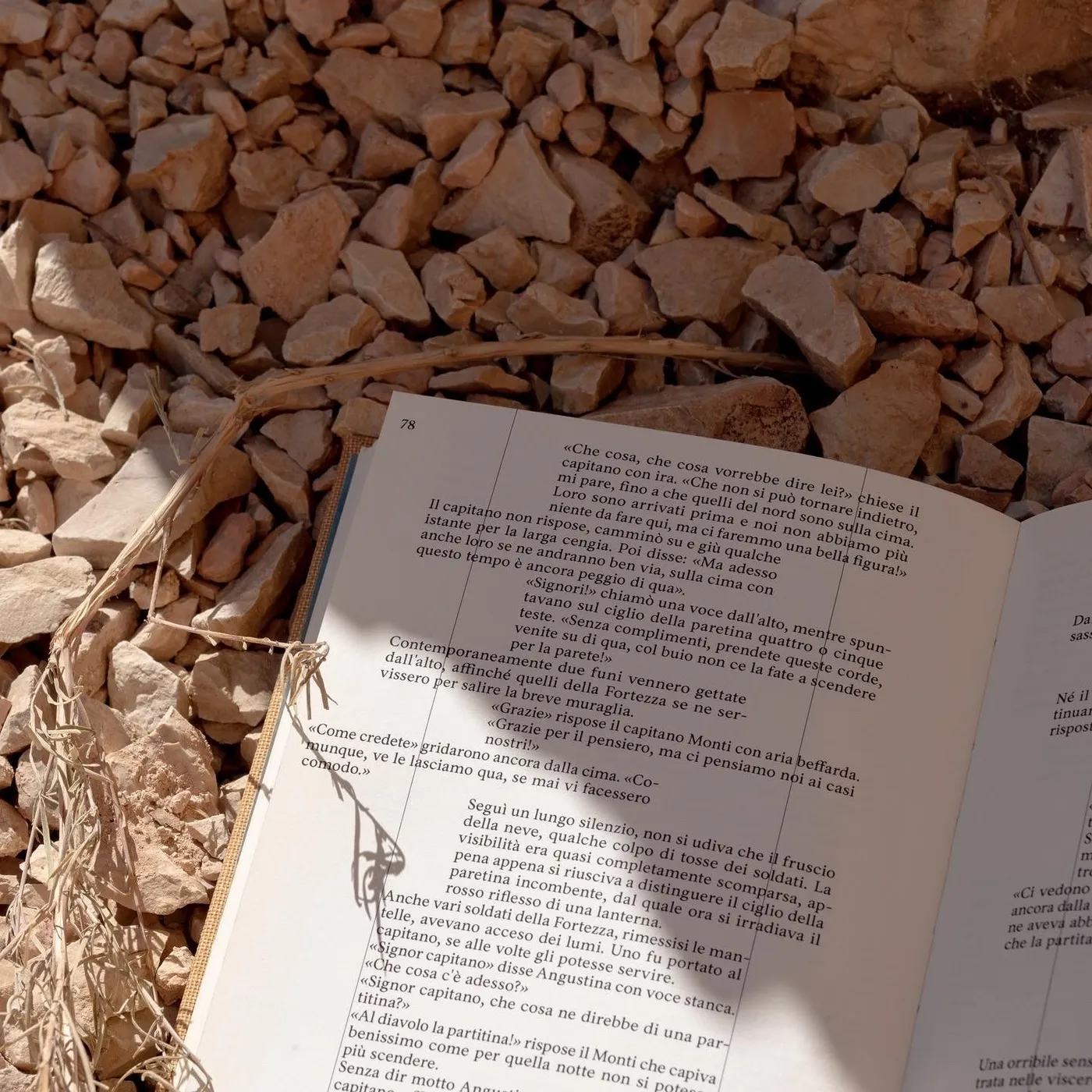 Il deserto dei Tartari