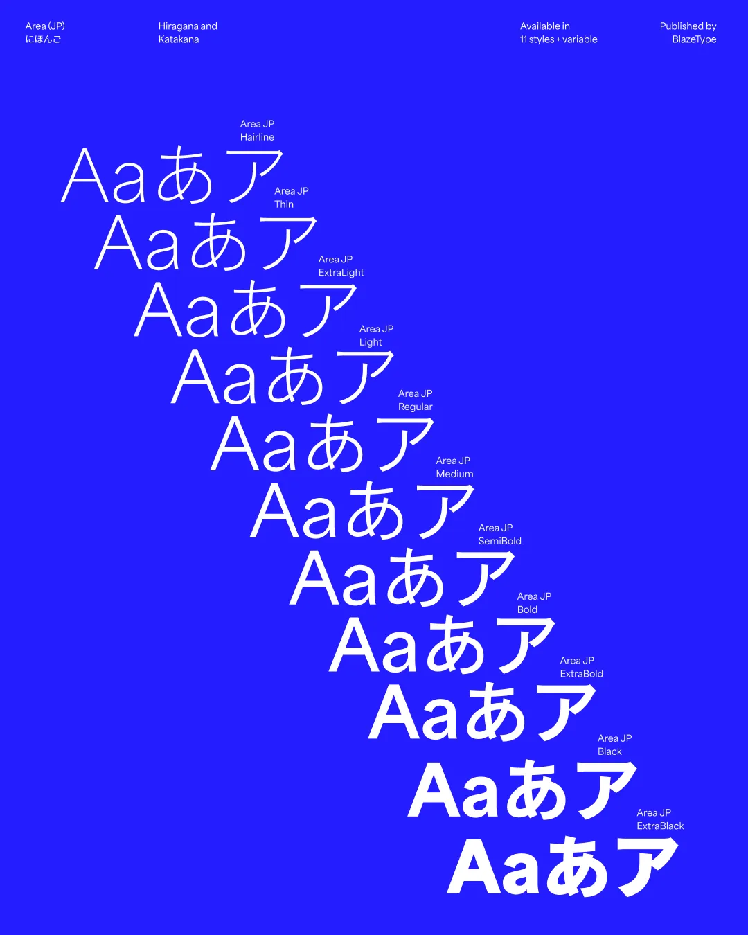 Matthieu Salvaggio, Caio Kondo