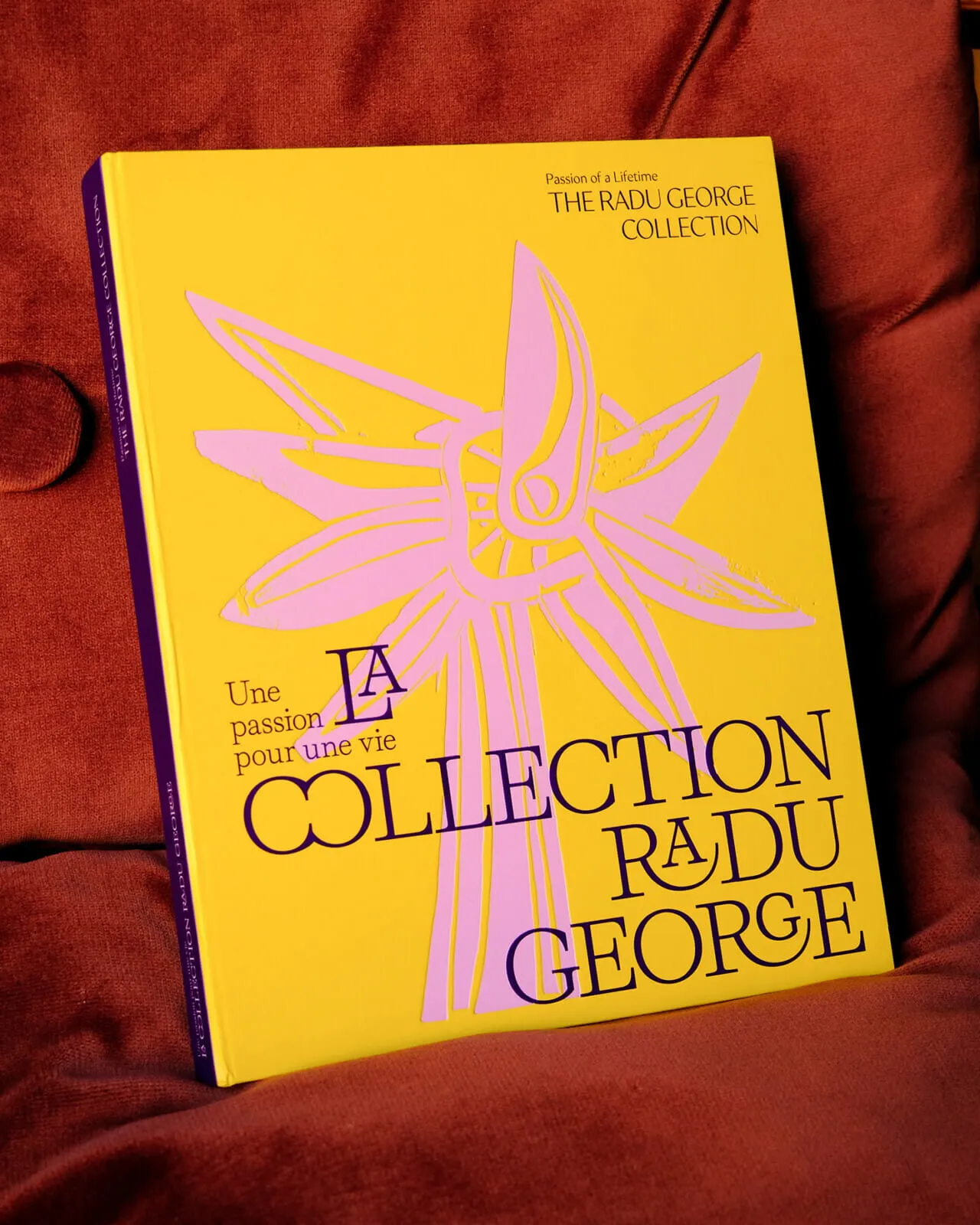 La collection Radu George