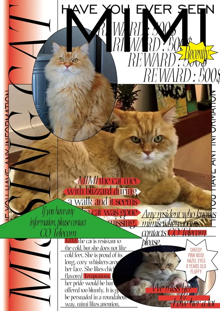 Caroline, Drift Train