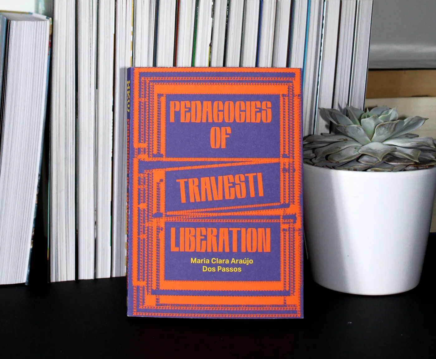 Pedagogies of Travesti Liberation by Maria Clara Araújo Dos Passos