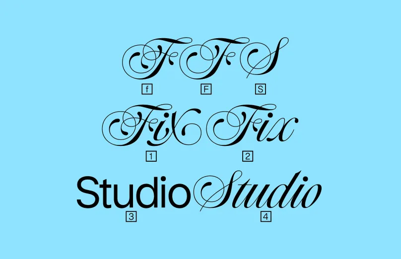 Social Media License