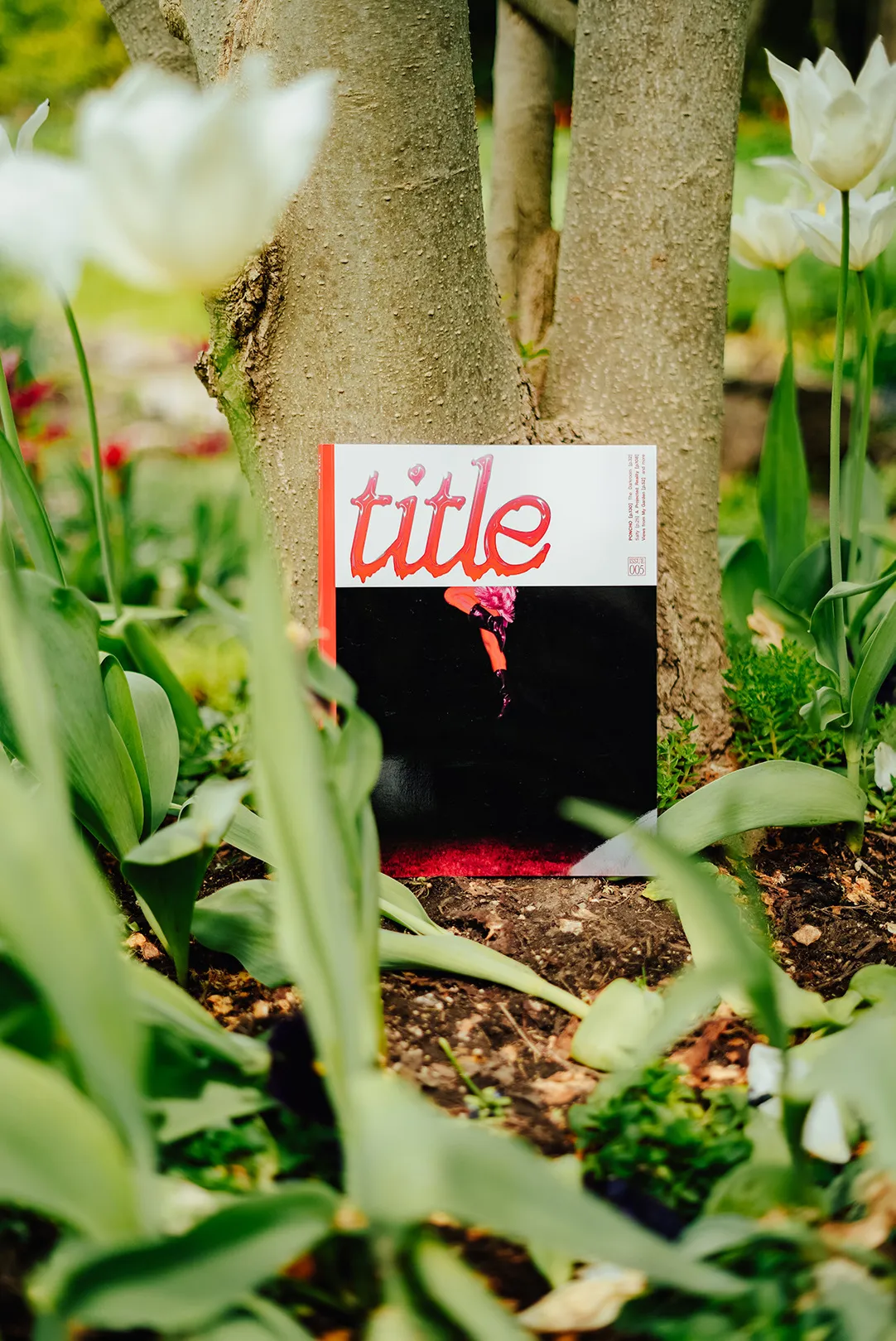 Title magazine rebrand, issue 005