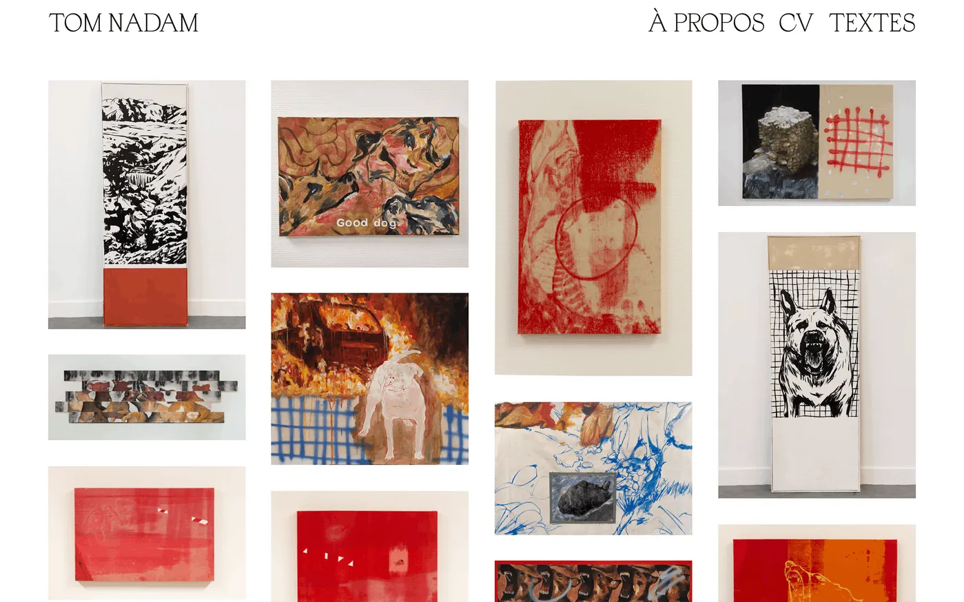 Tom Nadam portfolio website