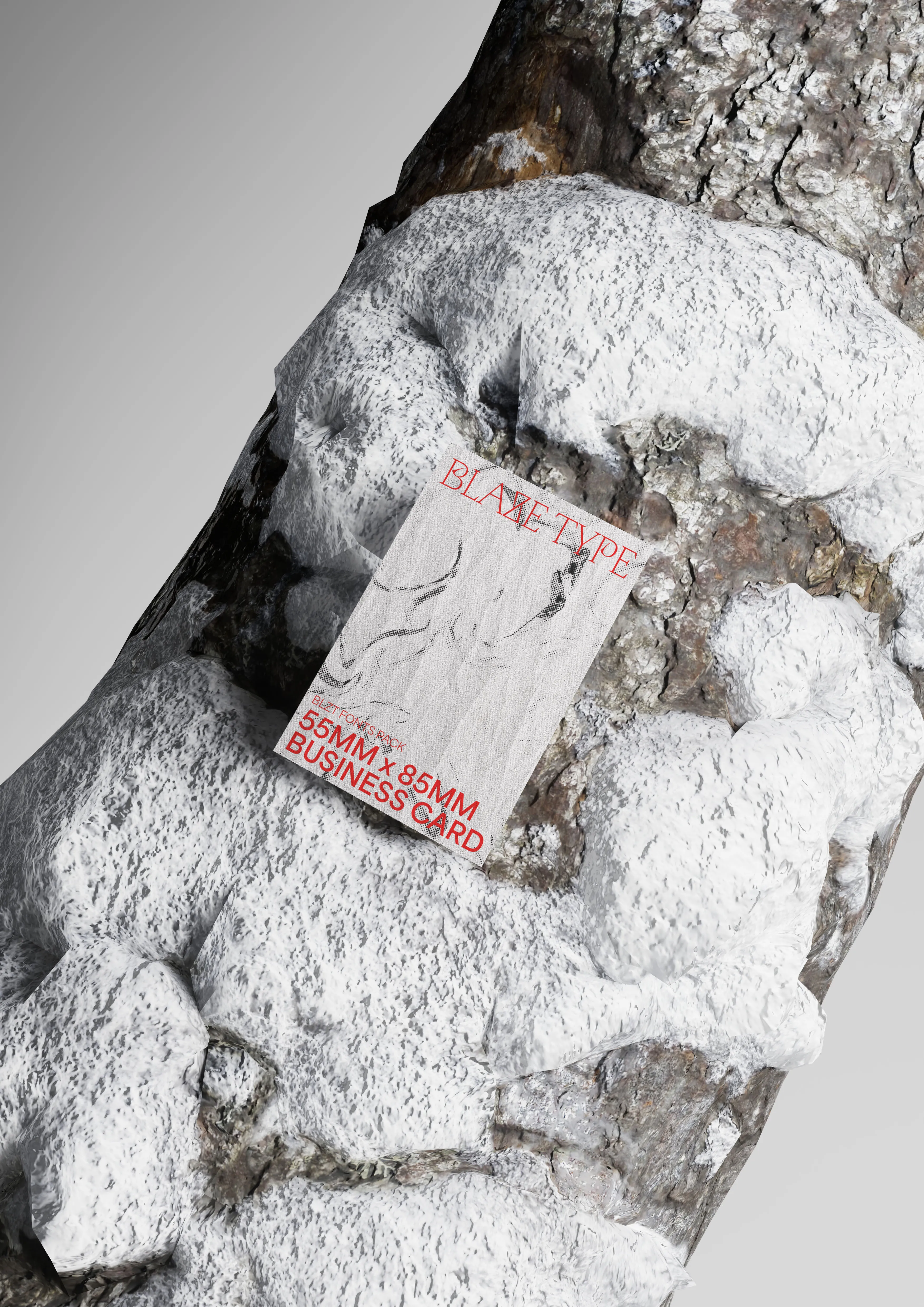 blazetype_mockup_snow_bc01.jpg