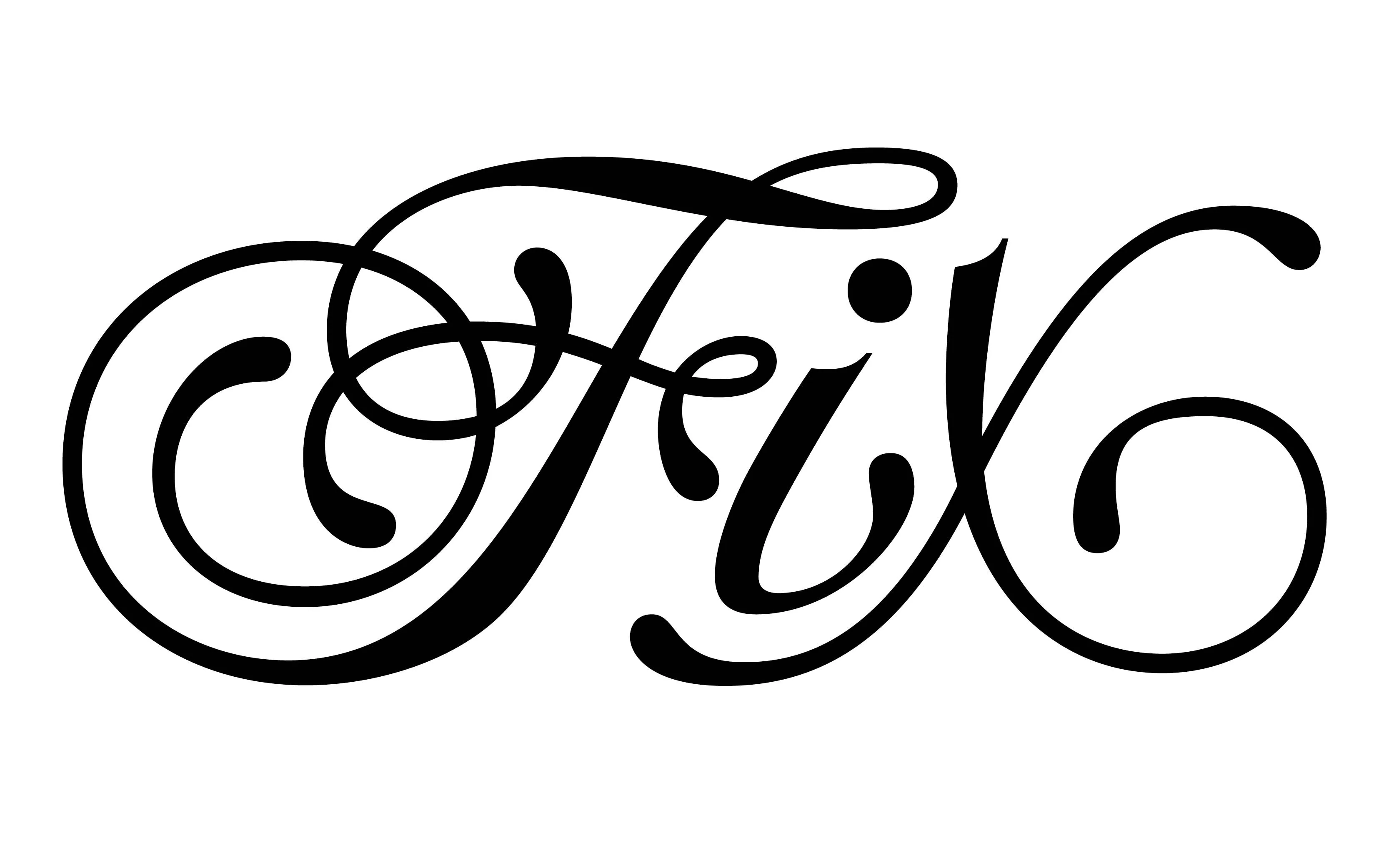 Micro Version