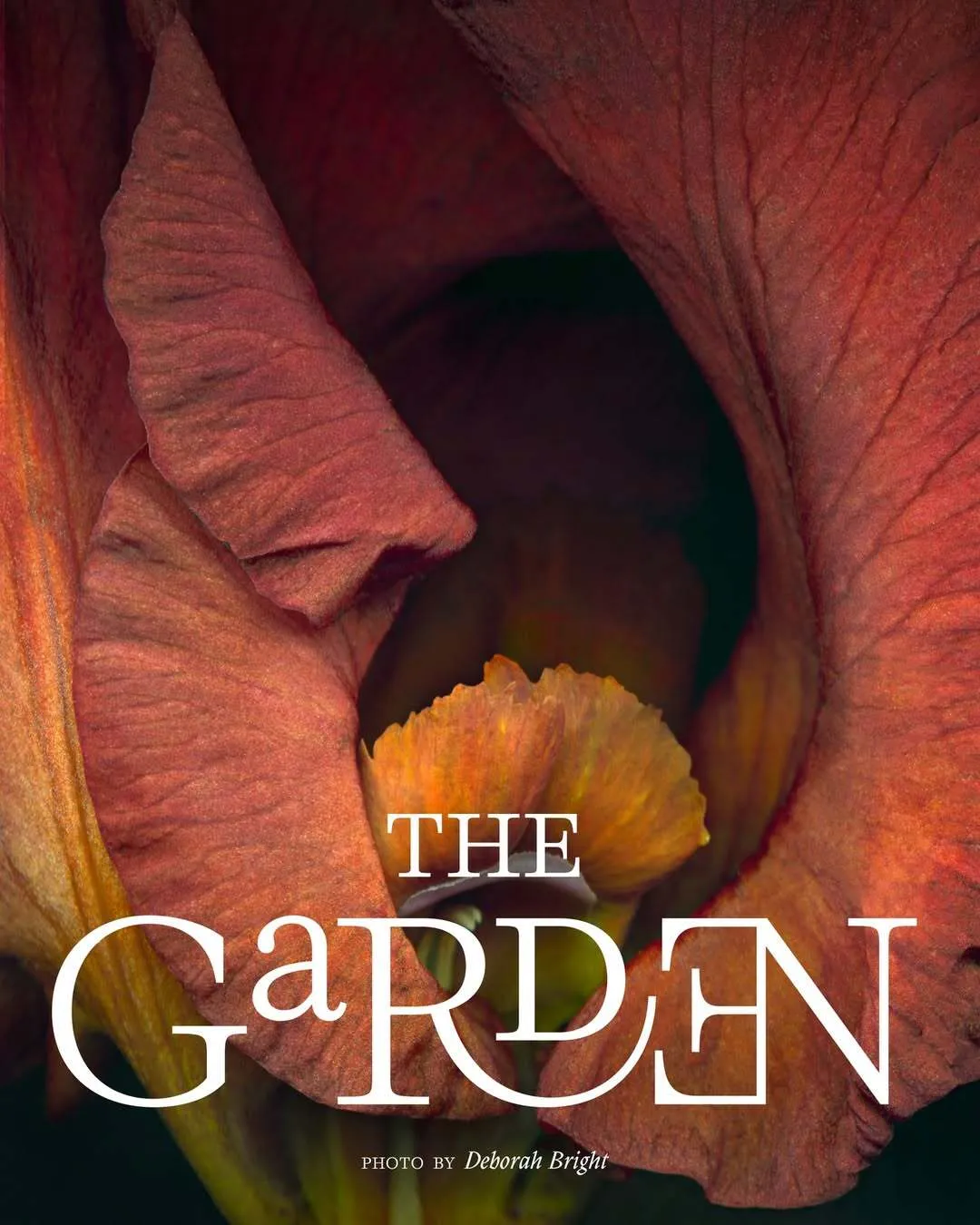 The Garden exhibition at BGSQD