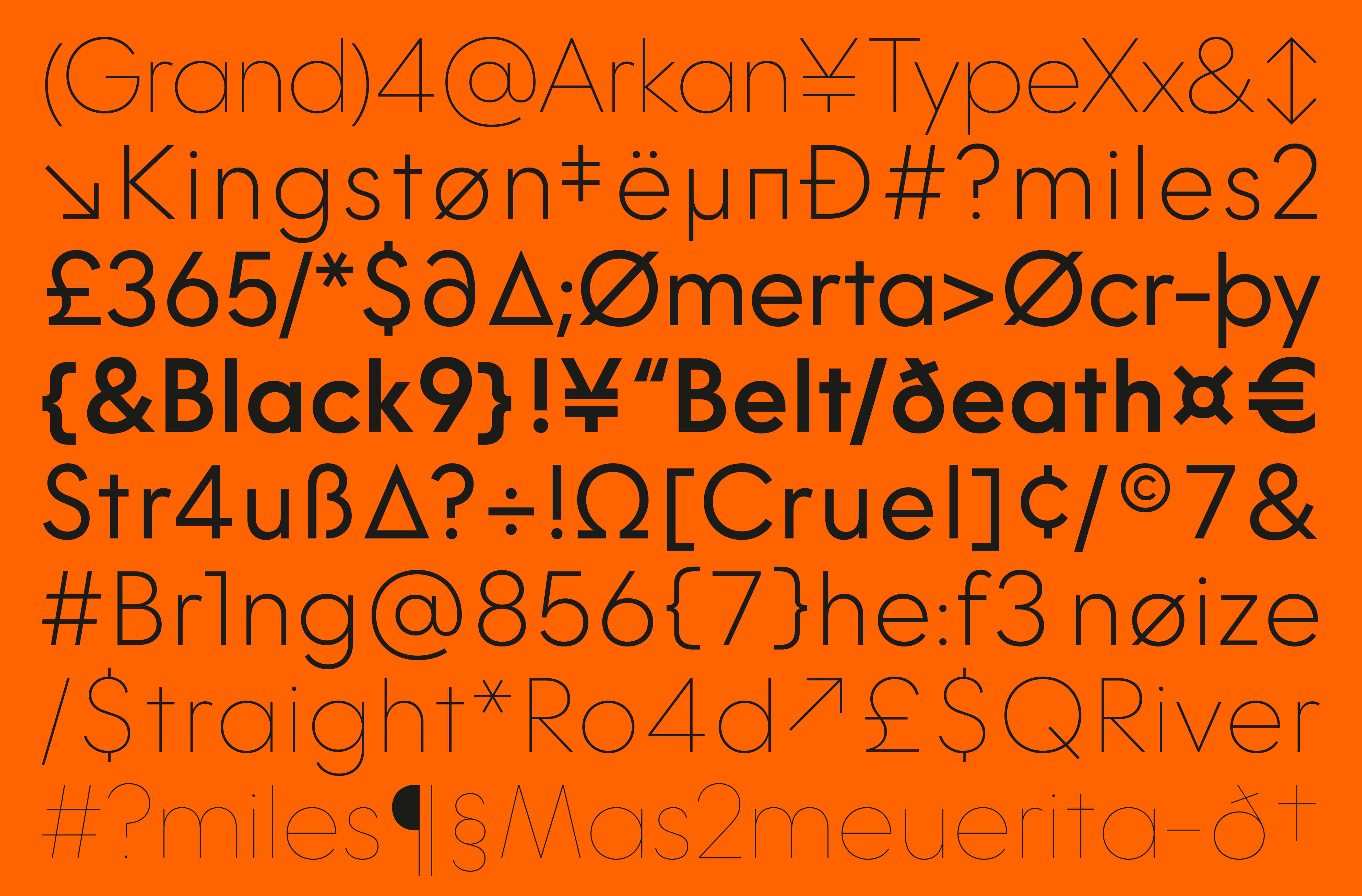 Digital Sans is a timeless geometric sans font family French Type